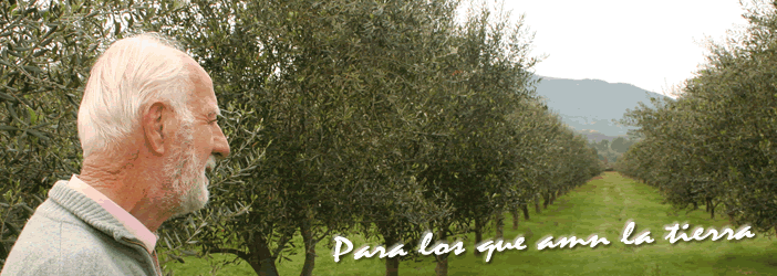 header11